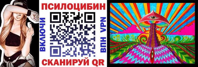 магазин  наркотиков  Волжск  Галлюциногенные грибы мицелий 